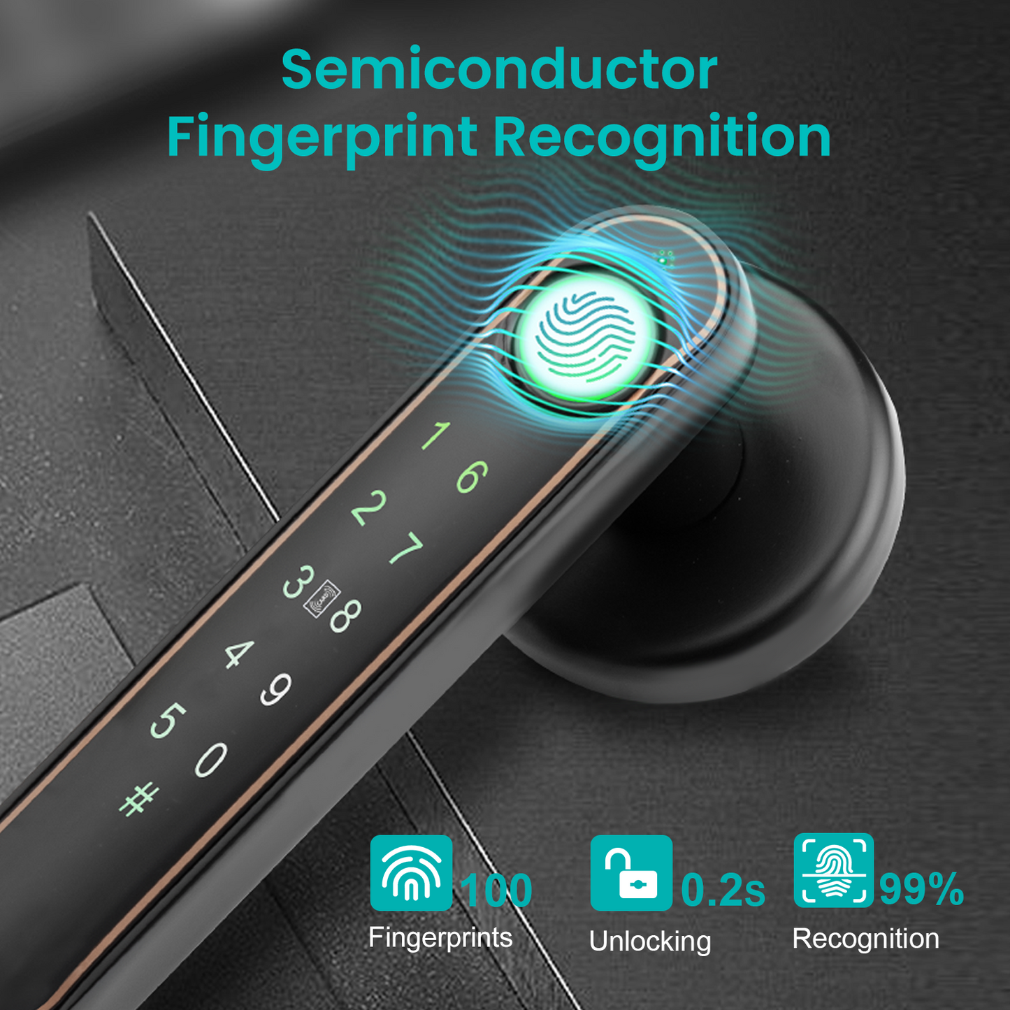 Smart Fingerprint Door Lock Knob, Keyless Entry Door Lock with Handle, 5 Ways Unlock, Black Gold